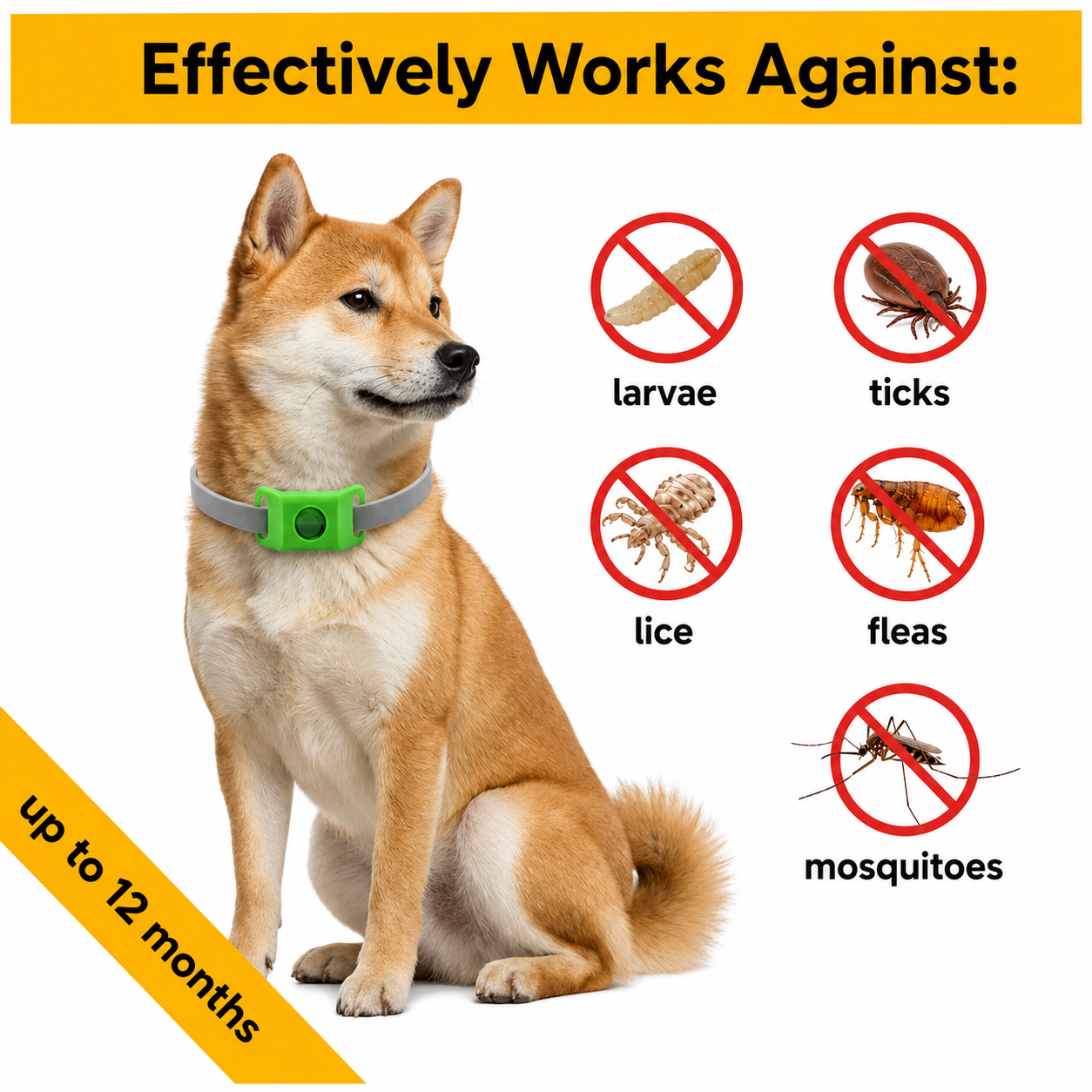 Common outdoor pests that may affect dogs