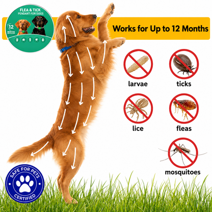 🔥Buy More Get More free Pet flea and tick collars🔥