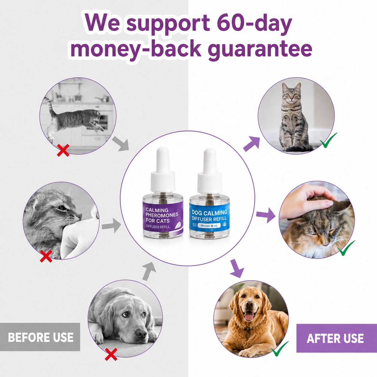 Common pet stress behaviors and calmer behavior